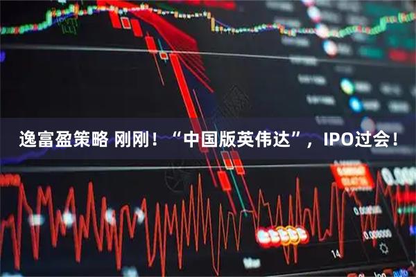 逸富盈策略 刚刚！“中国版英伟达”，IPO过会！