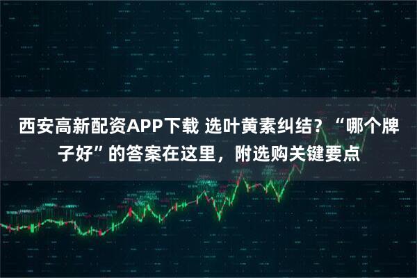 西安高新配资APP下载 选叶黄素纠结?“哪个牌子好”的答案在这里,附选购关键要点