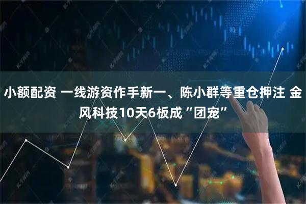 小额配资 一线游资作手新一、陈小群等重仓押注 金风科技10天6板成“团宠”